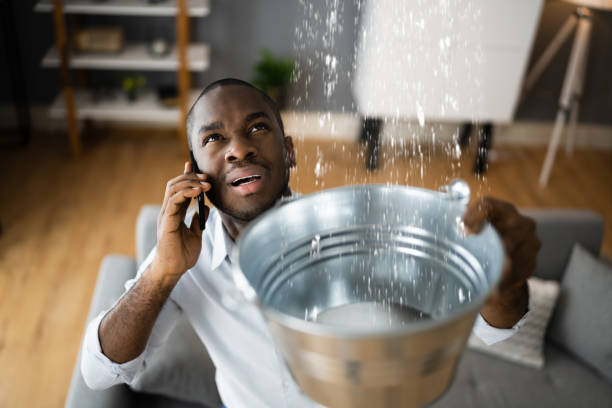 Best Professional water damage repair  in Waycross, GA