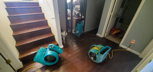 Best Water damage restoration near me  in Waycross, GA