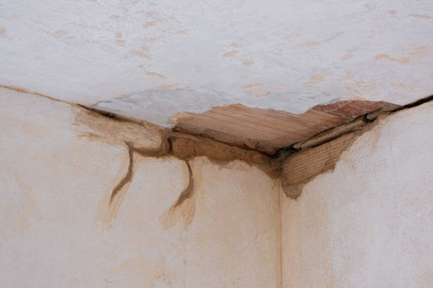 Best Water damage restoration near me  in Waycross, GA