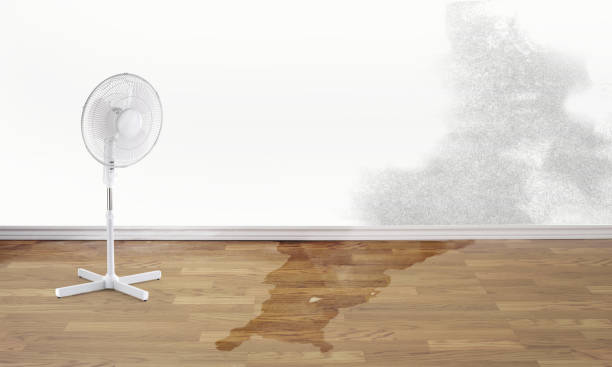 Best Basement water damage restoration  in Waycross, GA