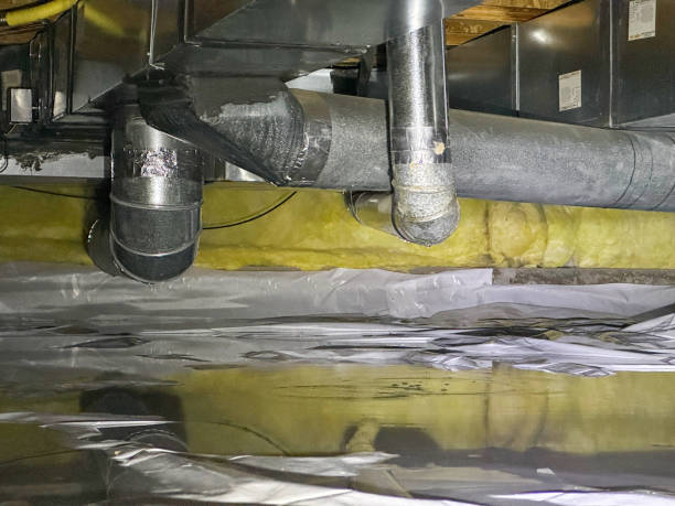 Best Flooded house restoration  in Waycross, GA