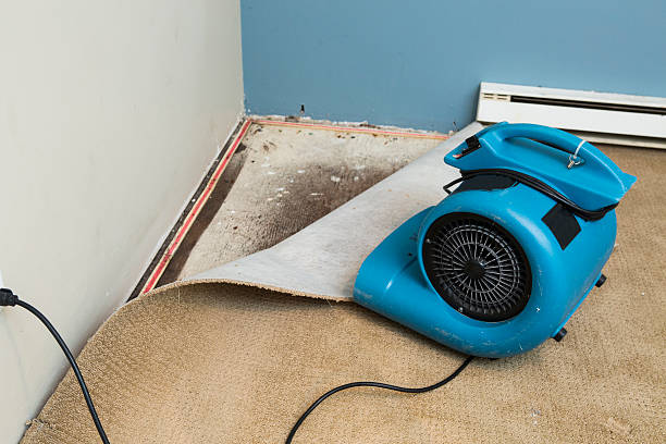 Best Emergency water damage restoration  in Waycross, GA